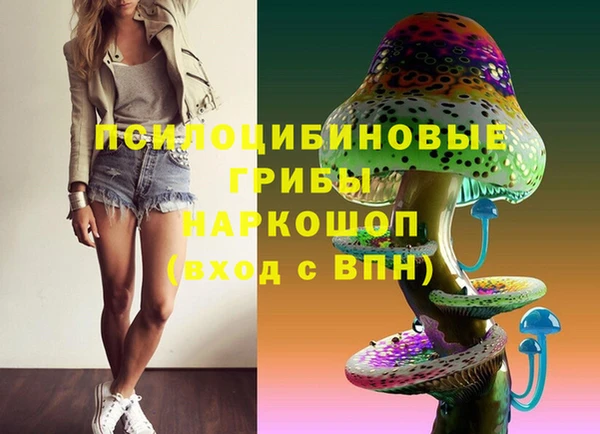 эйфоретик Алексин