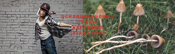 эйфоретик Алексин