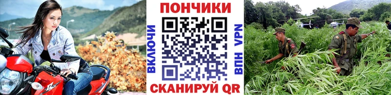 где купить наркоту  Нерехта  Каннабис VHQ 